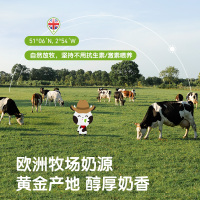 Little Freddie 小皮 酸奶10袋装 西梅+香蕉+苹果+樱桃+蓝莓