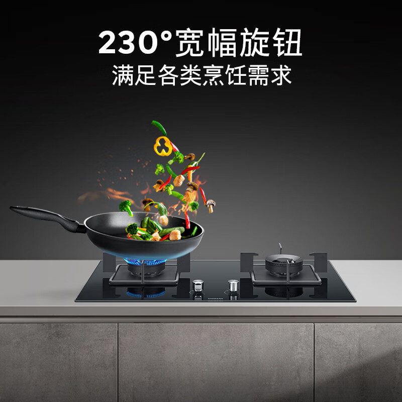 西门子嵌入式燃气灶具5.0大火力家用双灶玻璃天然气ERJA8A3BMP高清大图