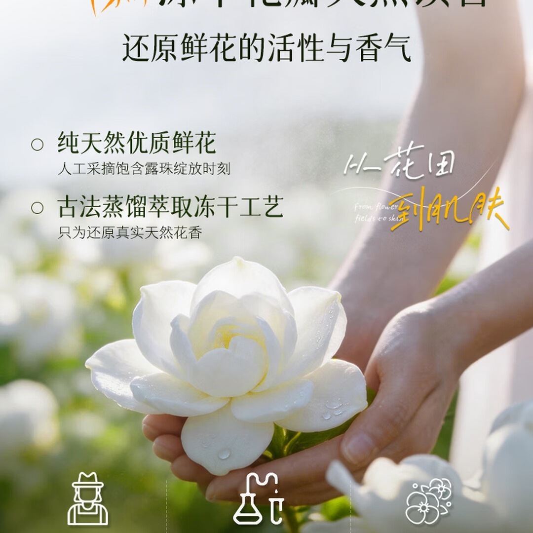 儒意 (RUYI)樱花花瓣香氛沐浴露 男女持久留香72小时控油滋润保湿嫩肤沐浴乳高清大图