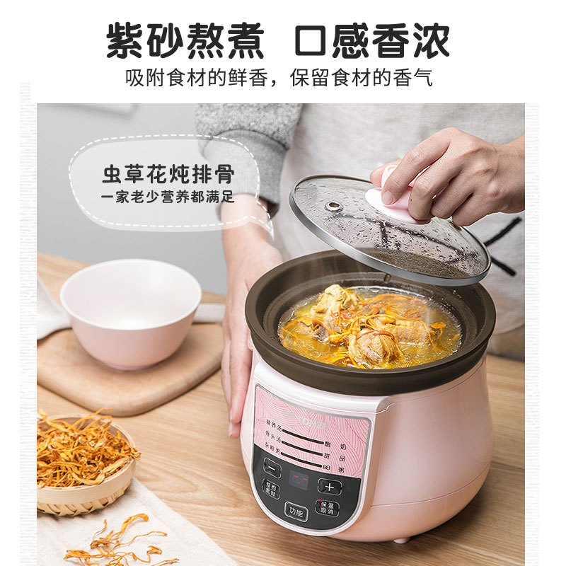 天际(TONZE)电炖锅1L 迷你BB粥 煲汤酸奶 宝宝营养辅食炖汤煲粥燕窝隔水炖盅陶瓷内胆智能DGD10-10EZWD