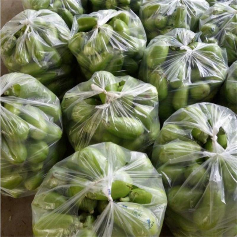 净重5斤新鲜青茄子[坏果包赔] 特产青茄子新鲜绿茄子圆茄子新鲜蔬菜绿皮茄子农家自种