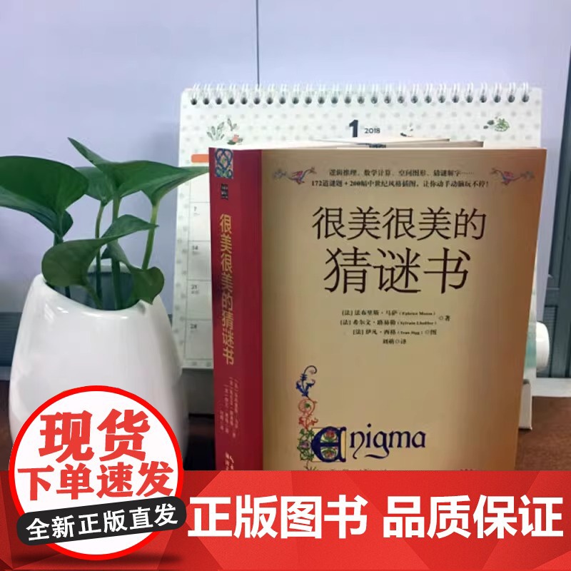 很美很美的猜谜书正版完整版10-12-15岁初中小学生益智打谜语课外读物书籍提高数学空间逻辑思维能力解字开发脑力创造力想高清大图