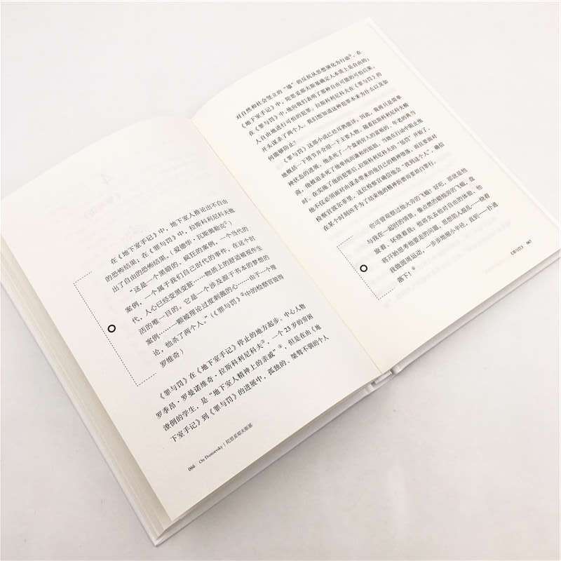 [正版]陀思妥耶夫斯基 精装 伟大的思想家系列 仰望44位哲学大师的星空 悦读人生开启你的智慧人生之旅 带你走进哲学能看