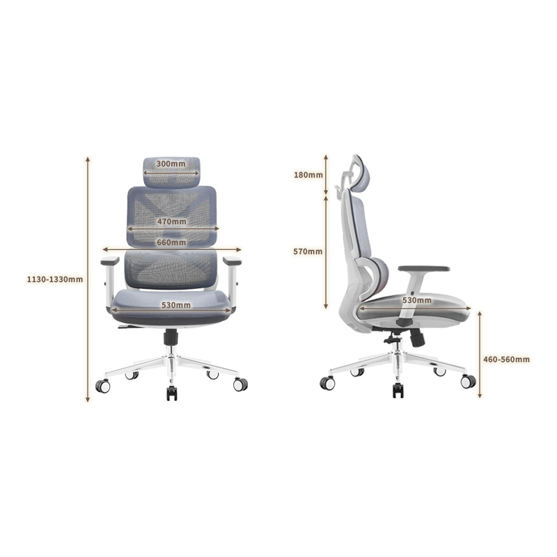 臻远 ZY-8938 办公椅人体工学椅转椅 定型棉白框 单位:把高清大图