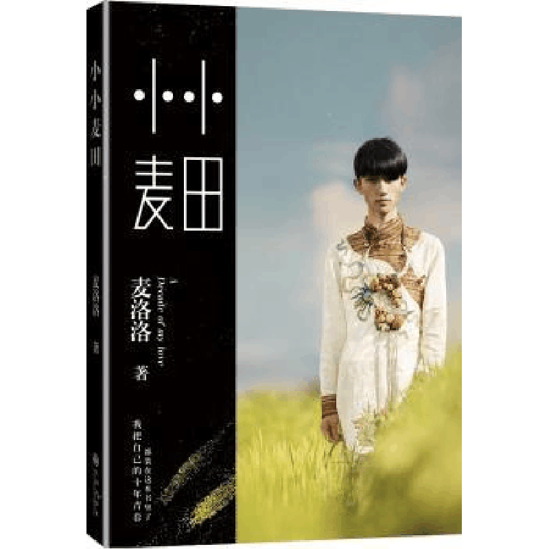 全新正版小小麦田9787510832208九州出版社图片
