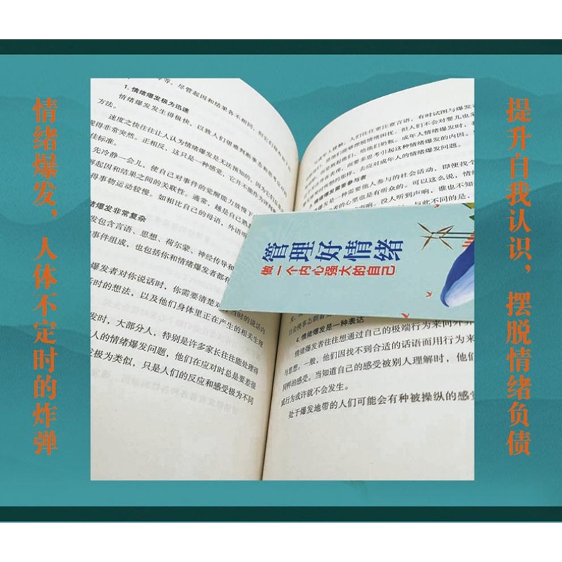 [正版] 管理好情绪做一个内心强大的自己 管理情绪修身养性情绪心理学 书籍高清大图