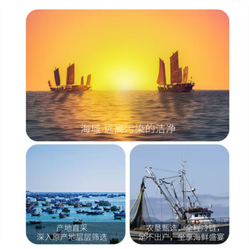 鲜禾鲜 国产海鲜系列 鲜禾鲜海捕小将国产海鲜礼盒D鲜美可口 营养美味 4200g 单盒价高清大图