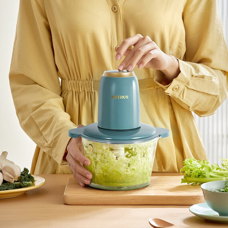 柏翠绞肉机多功能搅拌小型碎菜机玻璃碗简易便携绞肉机PE1320
