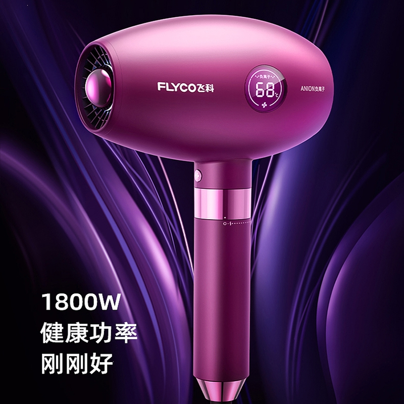 飞科(FLYCO)电吹风家用恒温速干吹风机大功率大风力