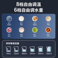西屋(Westinghouse)家用RO反渗透净水器即热净饮水机矿化台式免安装直饮机桌面饮水机 WFH-C5曼哈顿版灰色