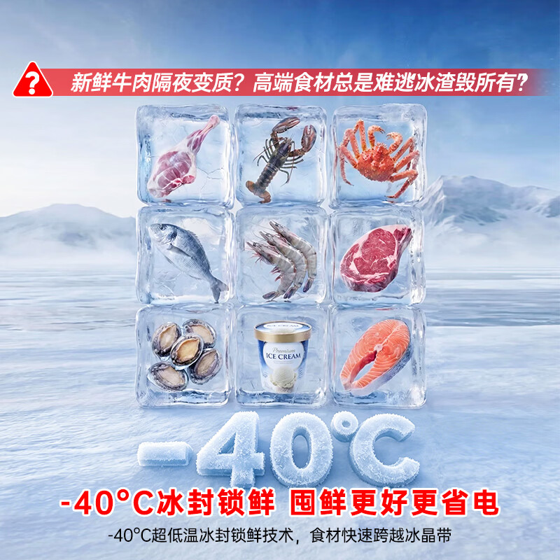 容声冷冻王300L单温冰柜小型家用冷柜变频新一级能效电子控温-40℃冷藏冷冻BD/BC-300E20HNLBD高清大图