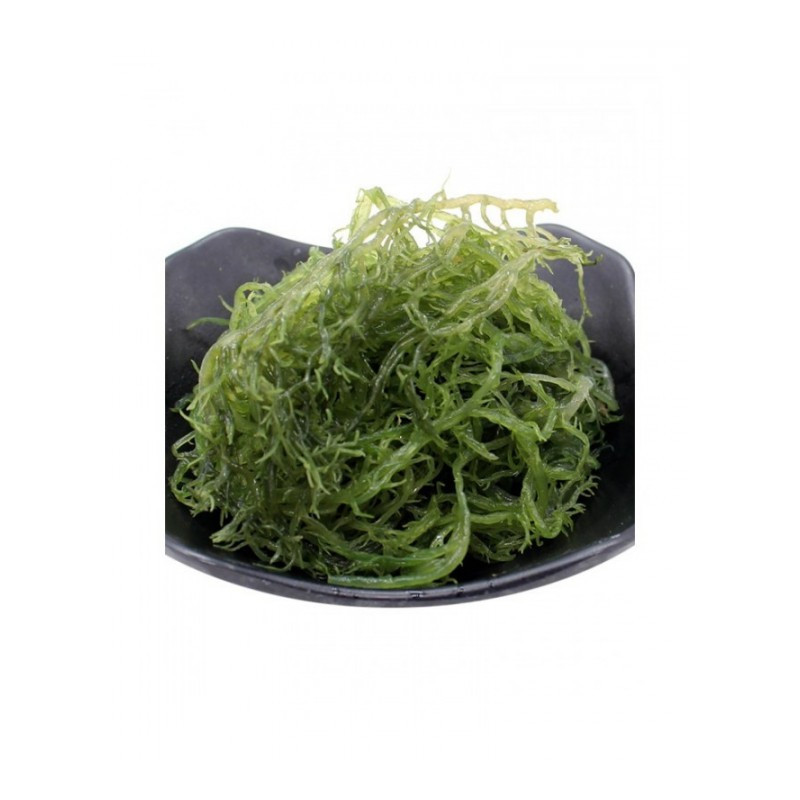 博多客 龙须菜 5斤 海草 海石花鹿角菜食用海藻菜丝裙带海藻丝凉拌菜 HPT