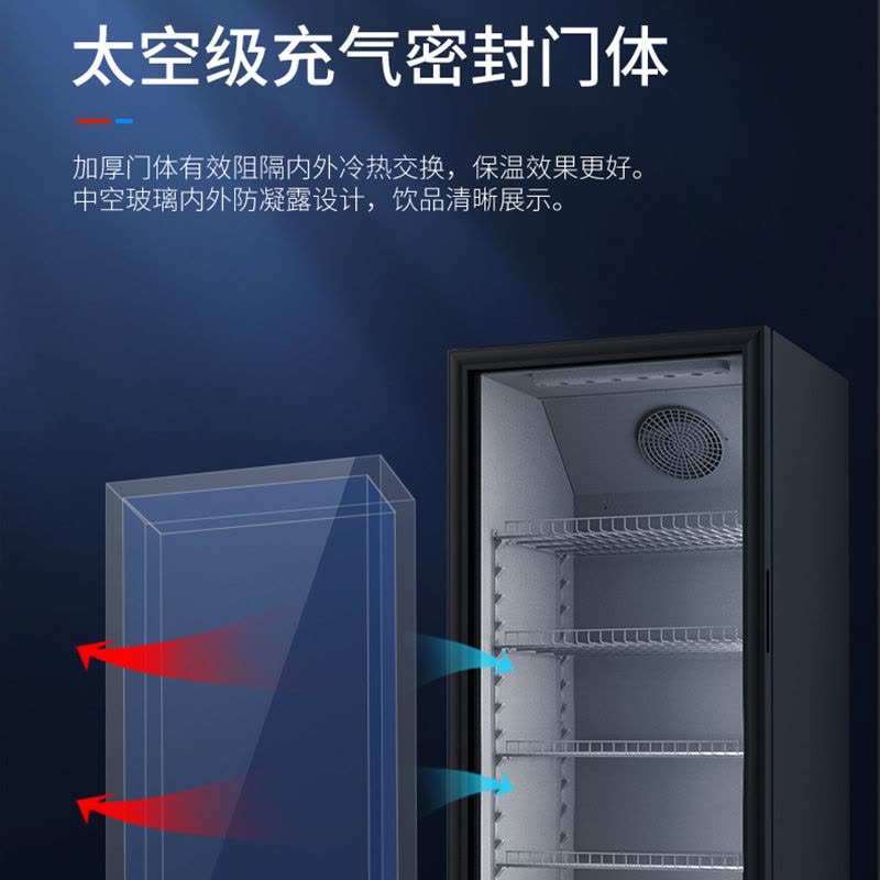 澳柯玛(AUCMA) 展示柜SC-316NE 316升商用单门冷藏展示柜冰柜保鲜饮料柜啤酒柜循环风机制冷合金内胆一级能效图片