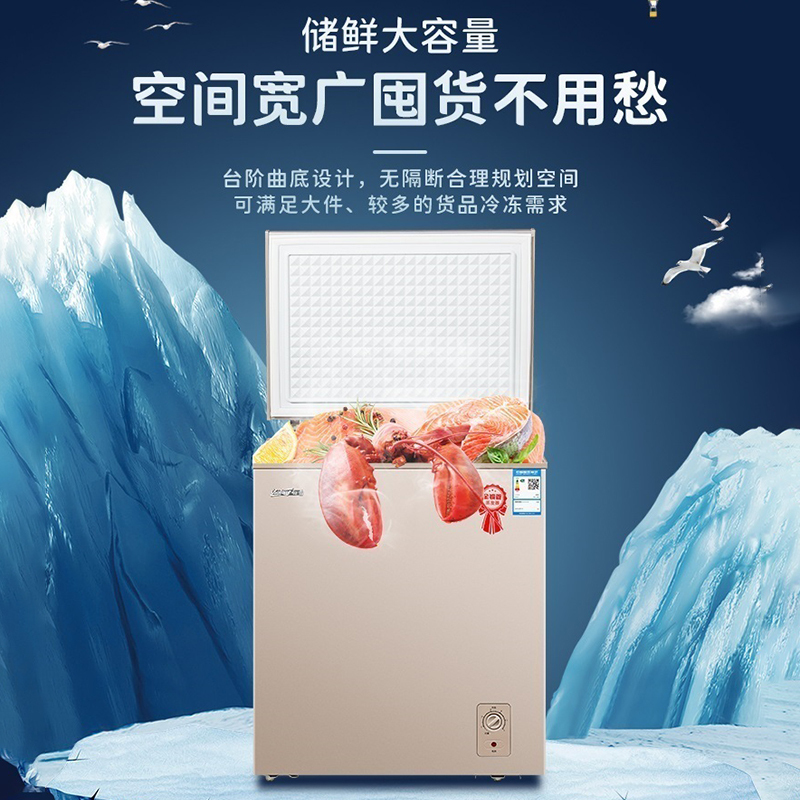 白雪一级能耗家用小冷柜145立升节能顶开式冰柜 冷冻冷藏卧式 茶叶、海鲜、母婴年货 BD/C145MAU
