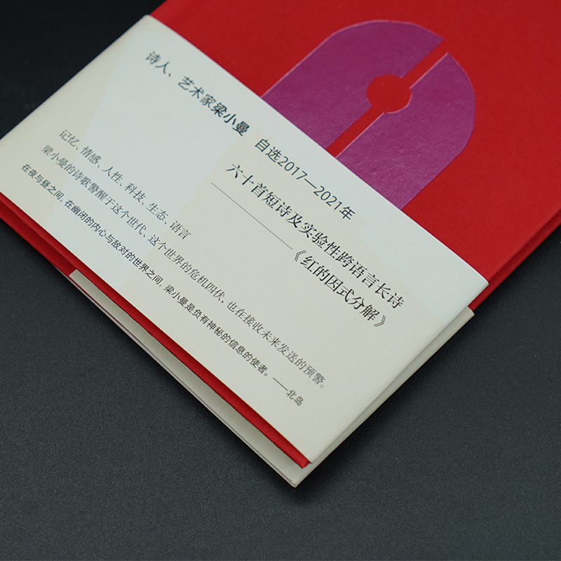 【M】红的因式分解 梁小曼诗选-9787305261770