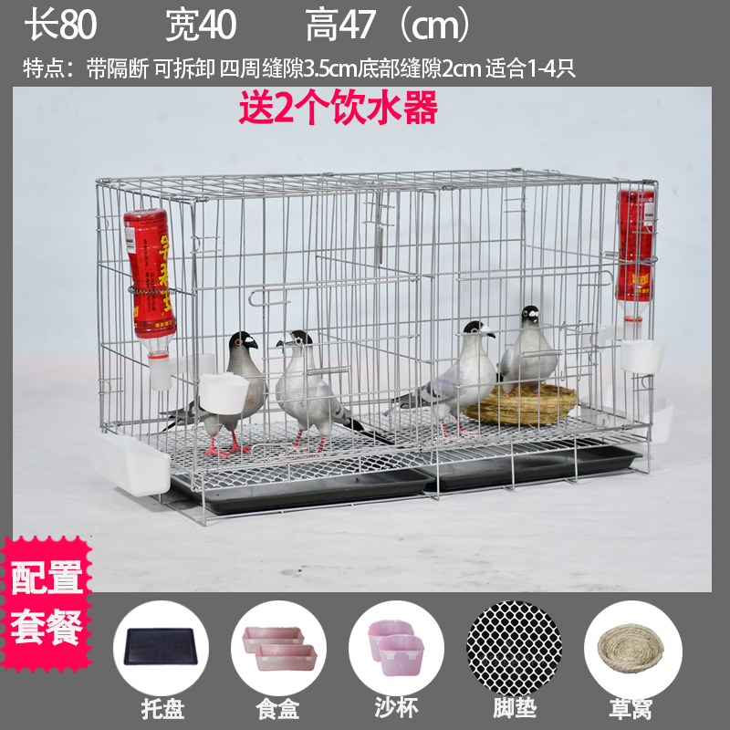 加粗鸽子笼子鸽子用品用具鸽子笼大号鸡笼家用鸽子养殖笼子 隔断80*40*47cm粪盘食具脚垫1窝 默认尺寸