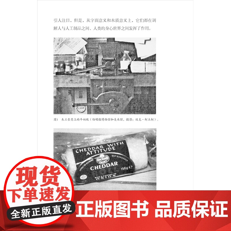 设计与时代译丛03 野性之物:日常生活中的物质文化高清大图