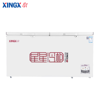 星星（XINGX）BD/BC-408G商用冰箱大容量冰柜顶开门卧式冷藏冷冻转换单温大冷柜冰鲜急冻雪柜
