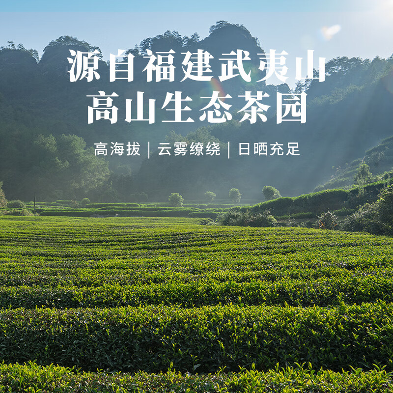 八马茶业 一路长红茶礼组合装 248g高清大图