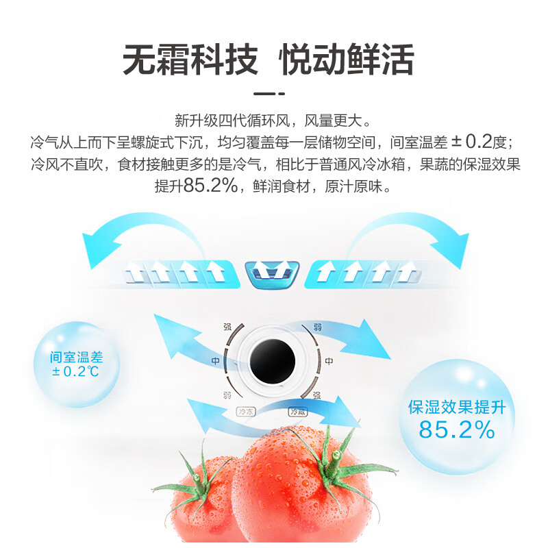 康佳(KONKA)居家瞬锁保鲜超大容量十字风冷冰箱 BCD-313W4高清大图