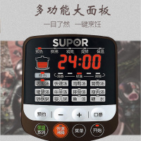 苏泊尔（SUPOR）电炖锅 家用多功能 电炖盅 煲汤锅 煮粥锅 4L大容量 耐高温中华炽陶内胆 DG40YC8-60