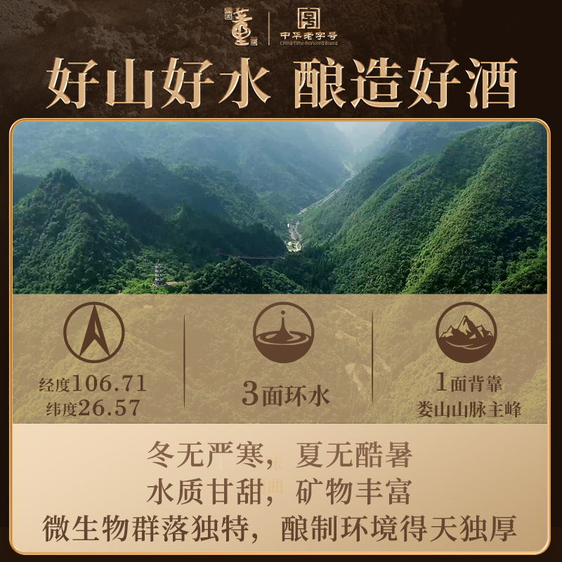 董酒珍藏9(2025)41度500ml 单瓶盒装董香型贵州白酒礼赠高清大图