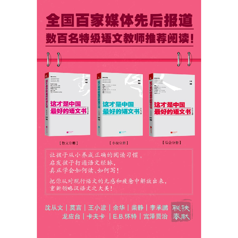 正版新书]这才是中国最好的语文书(小说分册)叶开9787539962900高清大图