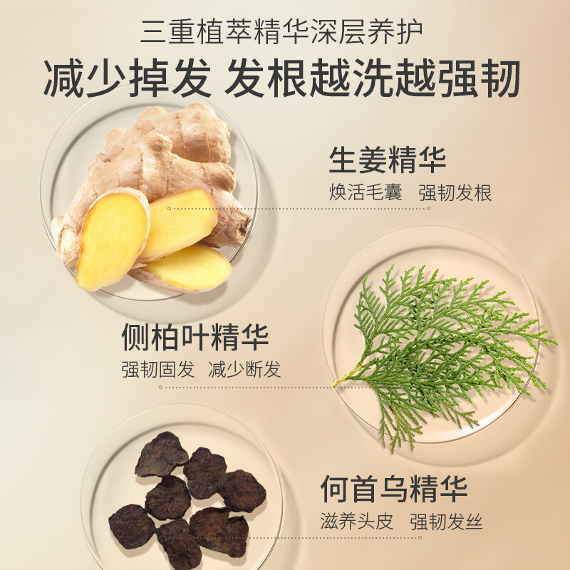 阿道夫防掉发育发洗发水300ml 生姜健发固根洗头膏 控油清爽洗发露