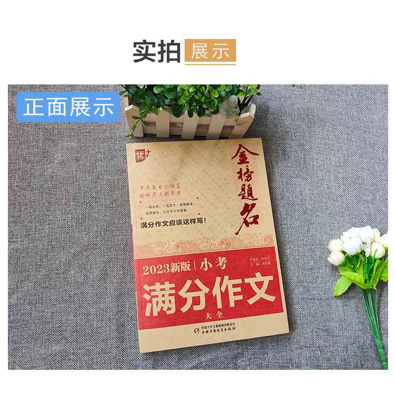 小升初必考押题作文辅导四五六年级作文书优秀作文选冲刺名校>800_800
