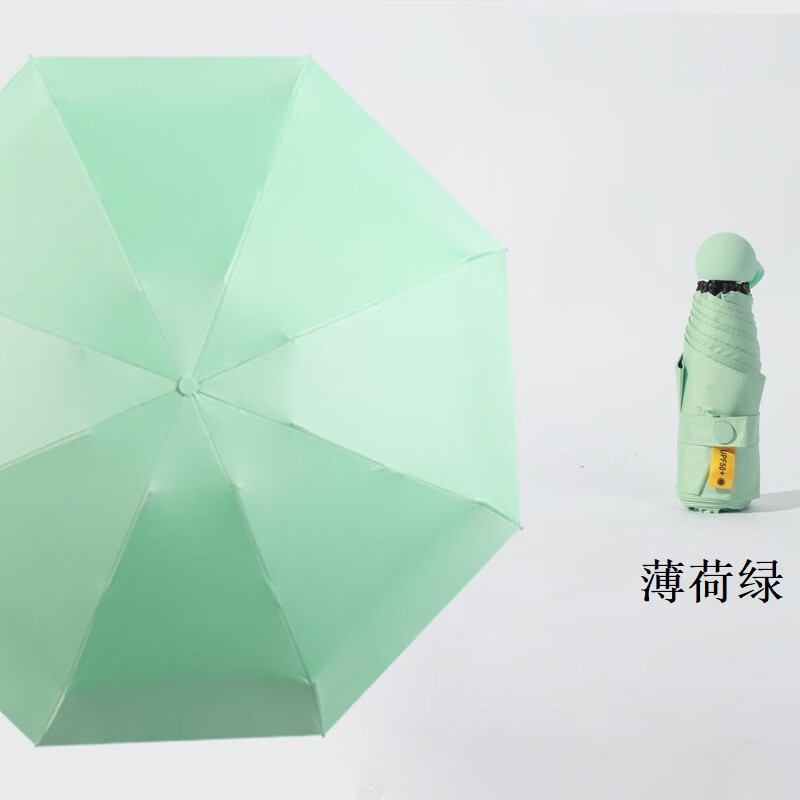 豹牌 BP-T9听雨套装 绿色 雨伞保温杯 玻璃杯套装高清大图