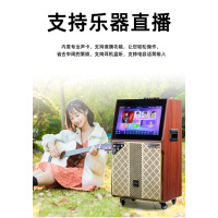 TEMEISHENG 特美声 QX12-67户外广场舞带显示屏音响大功率点歌移动ktv拉杆视频音箱 QX12-67