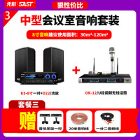 先科K3专业大中小型会议室音响套装音箱功放室内挂墙KTV舞台教学舞蹈8寸10寸卡拉ok卡包 中型会议一拖二+U段会议话筒