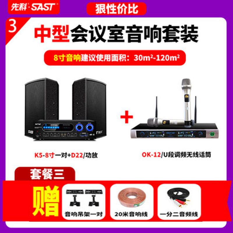 先科K3专业大中小型会议室音响套装音箱功放室内挂墙KTV舞台教学舞蹈8寸10寸卡拉ok卡包 中型会议一拖二+U段会议话筒