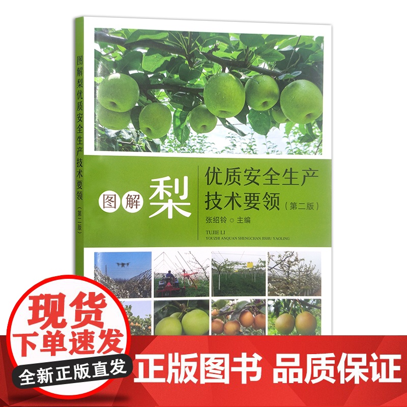 图解梨优质安全生产技术要领 张绍铃 果树园艺 梨树 果园 经营管理 30220高清大图