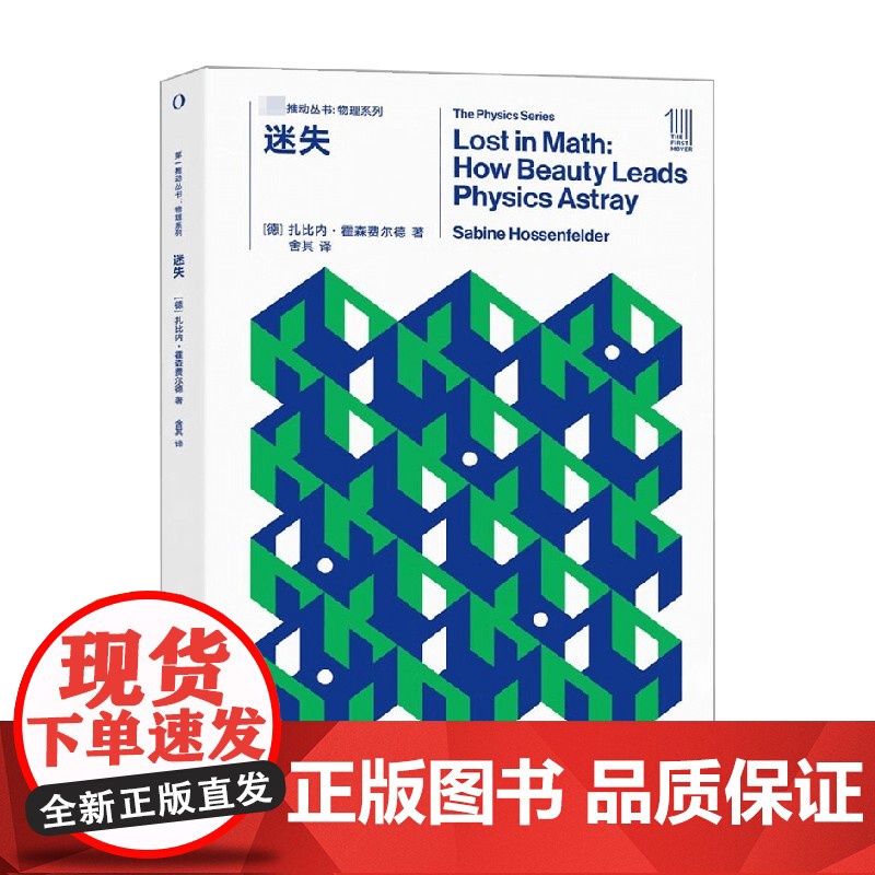 第一推动丛书 物理系列 迷失 扎比内·霍森费尔德 著 审美判断如何驱动当代物理学研究 科普读物高清大图