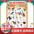 爱德少儿 幼儿启蒙有声挂图认识动物 一点就会读的有声认知书挂图有声早教幼儿童宝宝启蒙认知字母表墙贴学习神器宝宝早教点读发