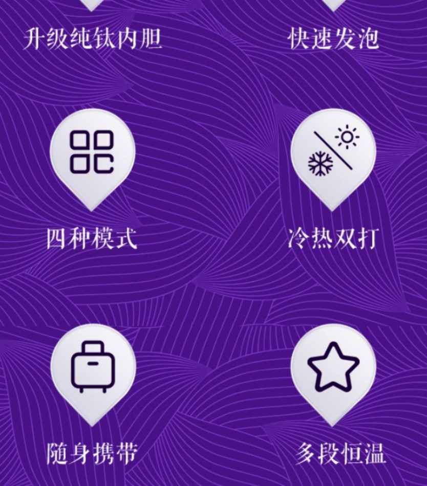 荣事达(Royalstar)多功能钛·奶泡杯便携电热水杯搅拌杯 RS-CP808A(Ti)高清大图