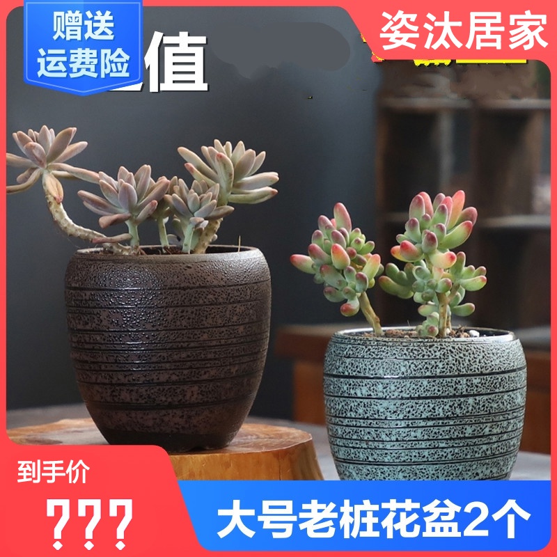 田园风大口径多肉花盆容器陶瓷老桩粗陶透气大小号创意复古组合套装个性植物立体凹凸图案多肉花器宜家中国风图片 高清实拍大图 苏宁易购