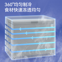 穗凌(SUINING) 208升 家用商用 单温卧式 冷藏冷冻 可转换 小冰柜 顶开门小冰箱 BD-228K