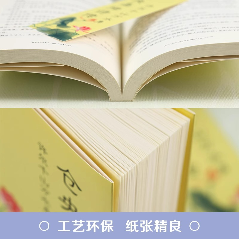 [单册]仓央嘉措诗传 [正版]仓央嘉措诗传 许尔千山万水身文学诗词书籍仓央嘉措诗集全集闫晗中国名人传记自传名人名言人物密高清大图