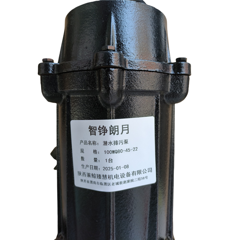 智铮朗月 潜水排污泵 100WQ80-45-22 台高清大图
