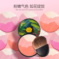 柳丝木腮红正品裸妆持久保湿提亮肤色抖音同款胭脂修容控油定妆粉 高潮红