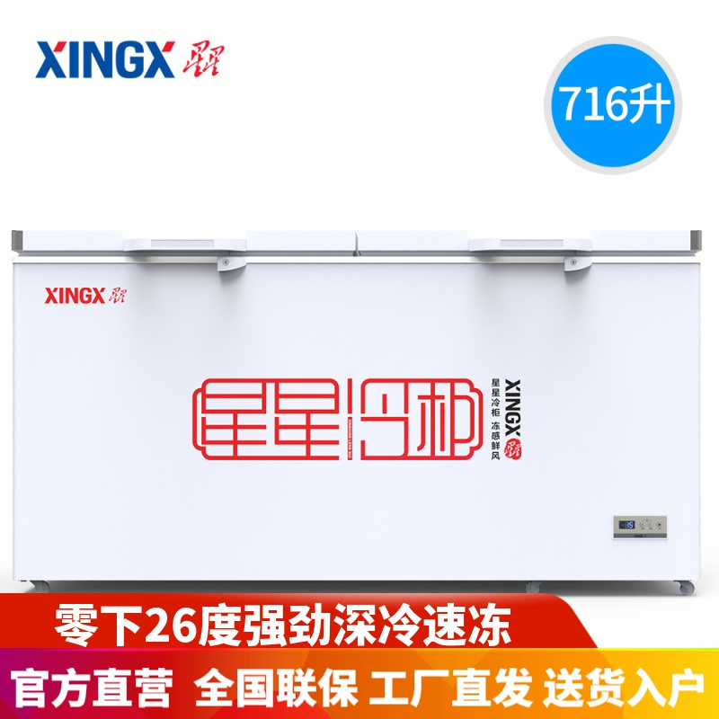 星星(XINGX)BD/BC-716E 716升冰柜 冷藏冷冻卧式单温冷柜 商用大容量保鲜冷藏冷冻转换柜