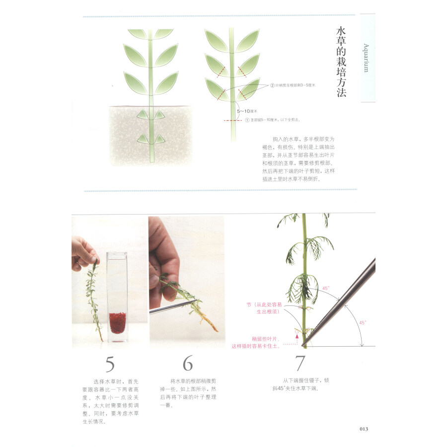 [醉染正版]正版学做家庭植物微景观 美植·美家 养花的书花园设计装修教程 花卉植物绿化植盆栽造景设计私家庭院室内园艺素材高清大图