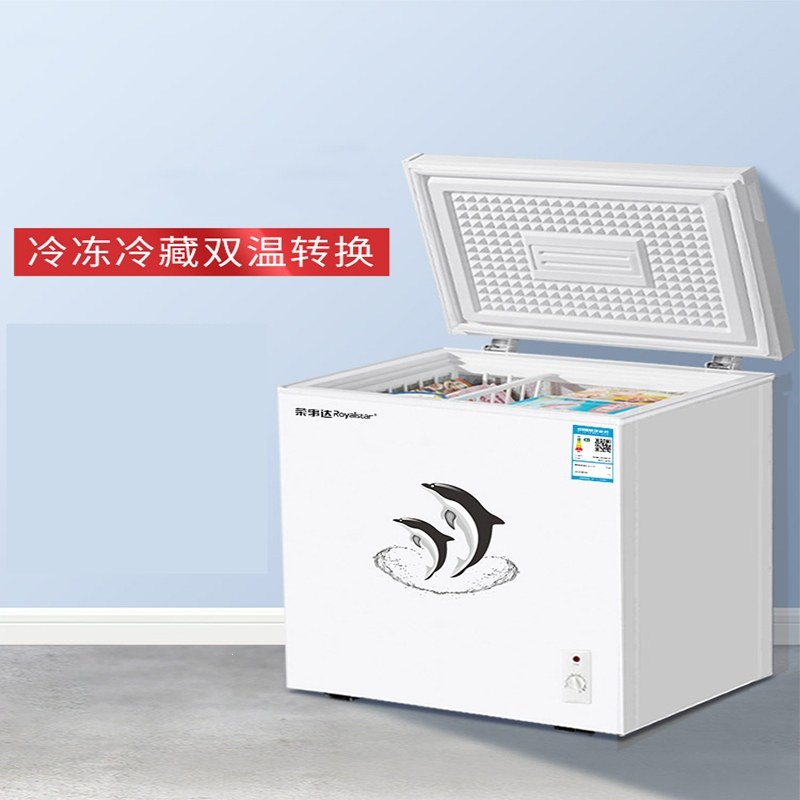 荣事达BD/BC-110A158D单温冰柜