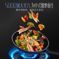 帅康(sacon)82C燃气灶定时双灶台式嵌入式煤气灶5.0kW大火力家用猛火钢化玻璃以旧换新打火灶炉具单灶煤气炉天然气