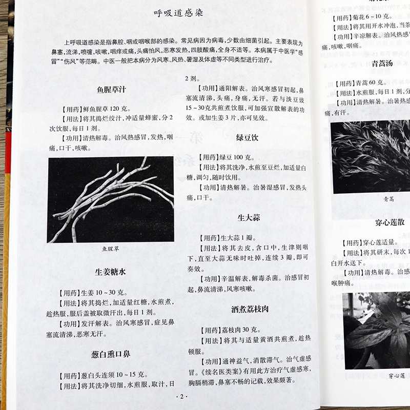 [友一个正版]全2册 土单方+小方子治大病简单实用小小的单方治大病中国民间土单方大全老偏方经验方药材食材方剂学处方偏方