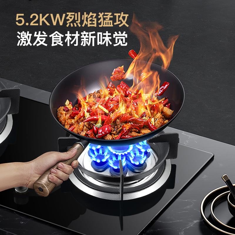 爱德(aide) 燃气灶一级能效 5.0kw双边定时灶节能省气炉灶爆炒煤气灶家用鸳鸯燃气灶炉具 AB023液化气