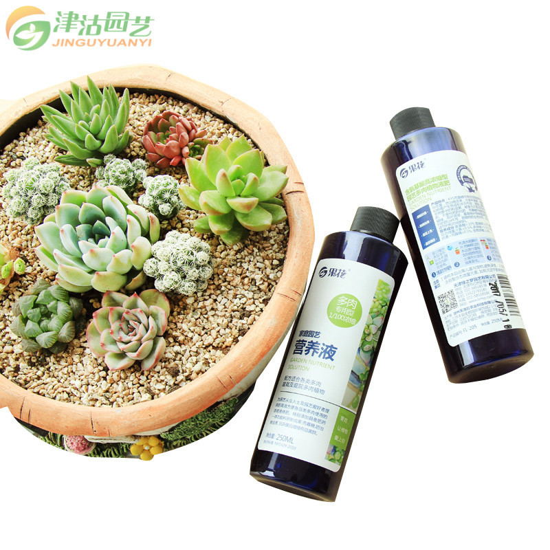[三免一]津沽园艺 园艺肥料 植物营养液 水培绿植肥料 绿植花卉浓缩液体花肥营养液水培型250ml