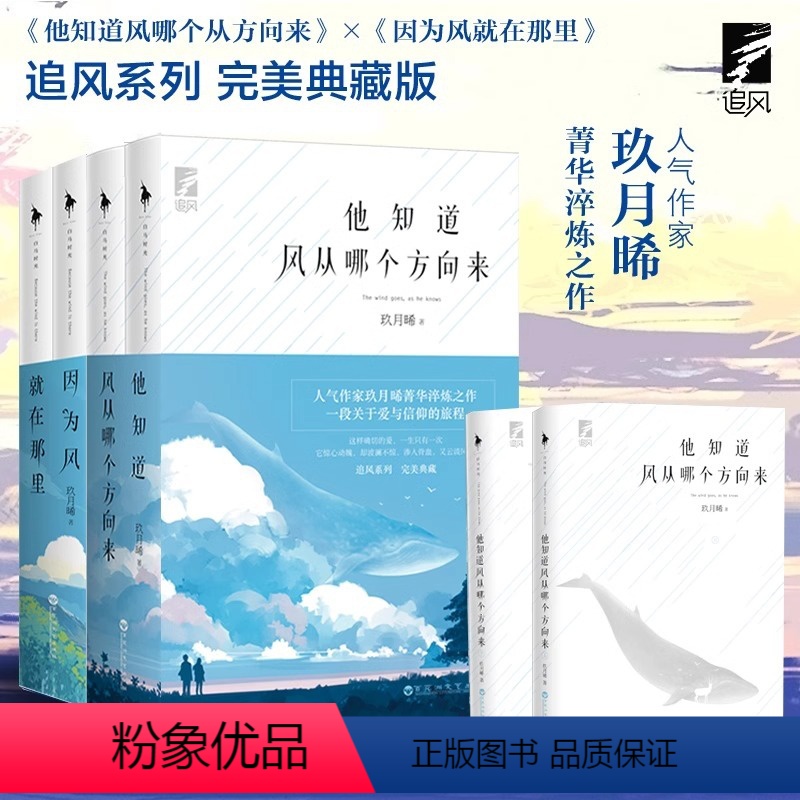 [正版]玖月晞“追风”系列典藏版套装4册他知道风从哪个方向来+ 因为风就在那里 一段关于爱与信仰的旅程 小说 书青